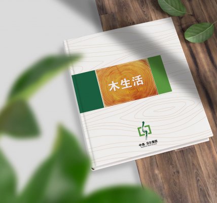 中森贝尔宣传画册